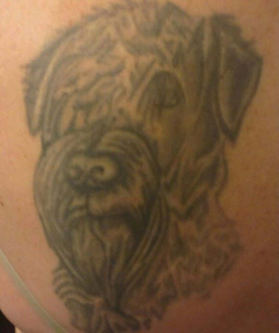 Pipa Kokkonen. Löytyy vehnäterrierin pääkuva selästä, Kuva on tehty n. 4 vuotta sitten Hyvinkäällä Kinky Mouse Tattoossa ja tatuoijana toimi Niko. 