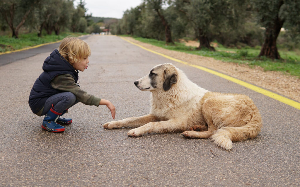Koira ja lapsi voivat harrastaa yhdessä.